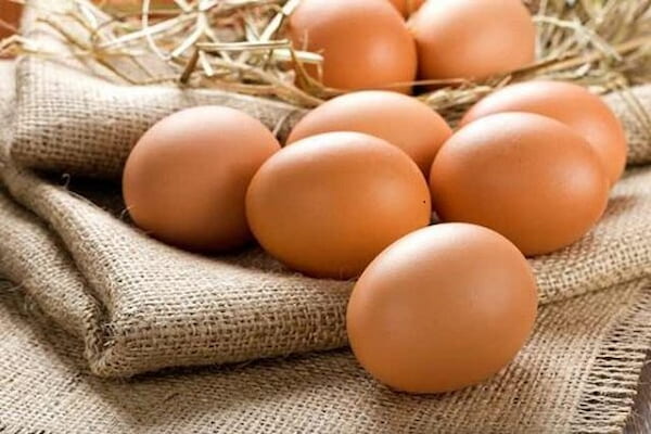تصویر 2 از قیمت تخم مرغ قهوه ای پاستوریزه + پخش تولیدی عمده کارخانه