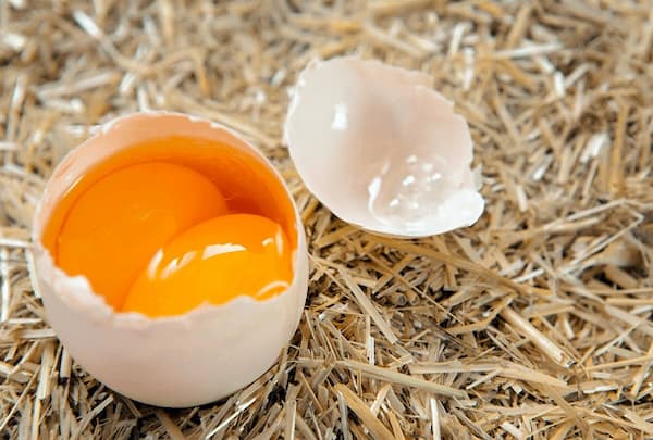 تصویر 1 از خرید تخم مرغ دو زرده + قیمت عالی باکیفیت
