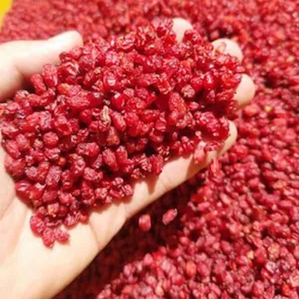 راهنمای خرید زرشک پفکی درجه یک + قیمت عالی