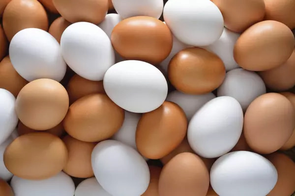 تصویر 2 از قیمت و خرید تخم مرغ غنی شده با امگا ۳ + فروش ارزان