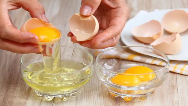 تصویر 1 از خرید و قیمت تخم مرغ هموژنیزه + فروش عمده