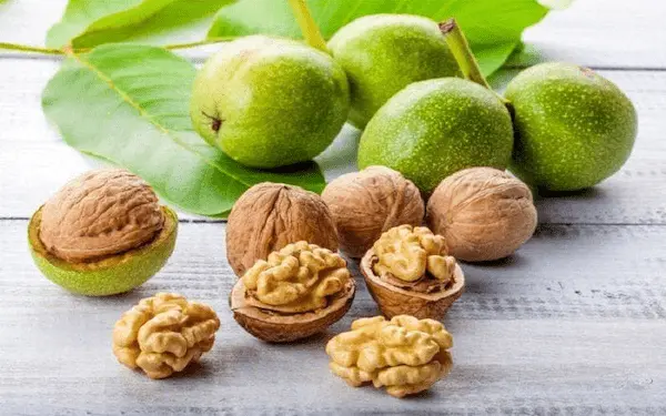 تصویر 4 از راهنمای خرید مغز گردو تازه + قیمت عالی