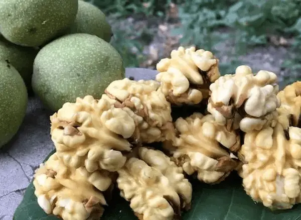 تصویر 5 از راهنمای خرید مغز گردو تازه + قیمت عالی