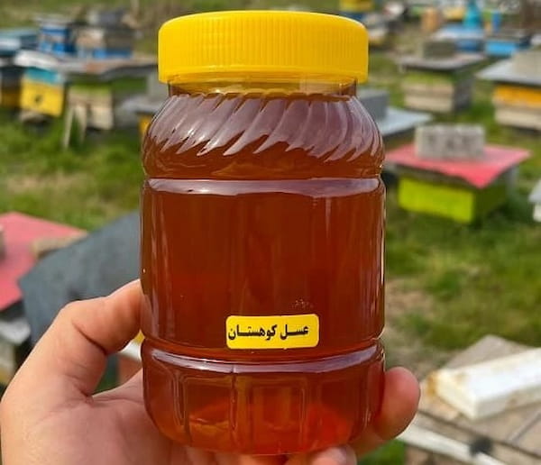 تصویر 5 از قیمت خرید عسل طبیعی کوهستانی با فروش عمده