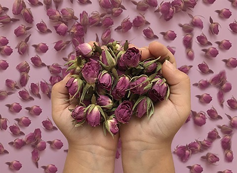 تصویر 2 از خرید و قیمت غنچه گل محمدی کاشان + فروش صادراتی