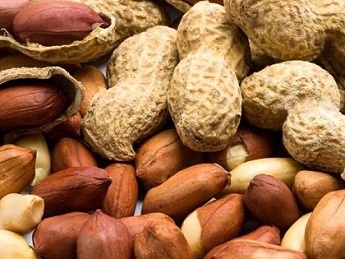 تصویر 2 از خرید بادام زمینی درجه یک + قیمت فروش استثنایی