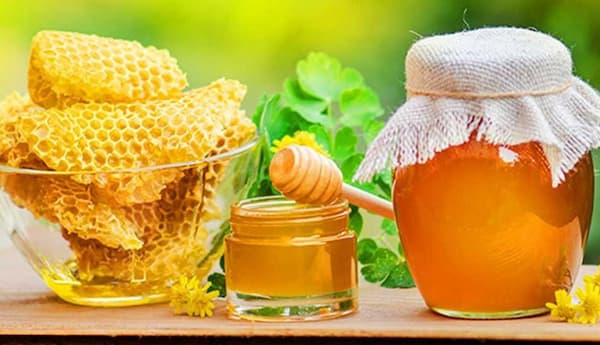 تصویر 1 از خرید و قیمت عسل کوهی وحشی + فروش عمده