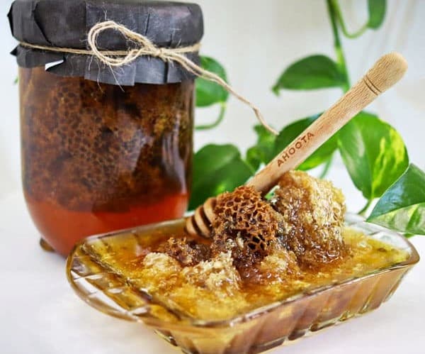 تصویر 4 از خرید و قیمت عسل کوهی وحشی + فروش عمده