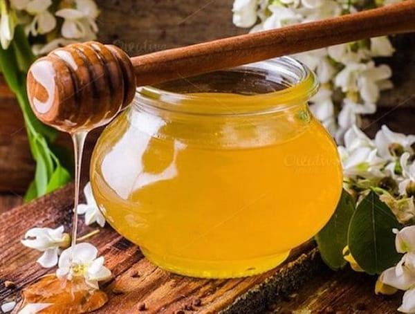 تصویر 5 از خرید و قیمت عسل کوهی وحشی + فروش عمده