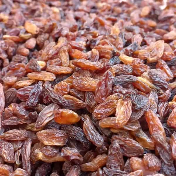تصویر 4 از قیمت و خرید  کشمش آفتابی پاک شده + فروش ارزان