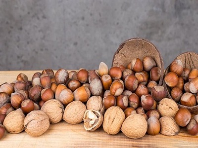 تصویر 2 از خرید و فروش فندق طلایی قزوین با شرایط فوق العاده