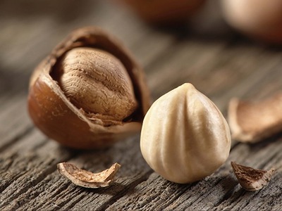 تصویر 3 از خرید و فروش فندق طلایی قزوین با شرایط فوق العاده