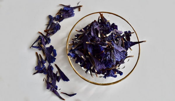 تصویر 1 از خرید گیاه گل گاو زبان دارویی + قیمت فروش استثنایی