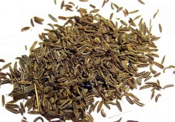 تصویر 5 از قیمت گیاه دارویی زیره سبز + خرید باور نکردنی