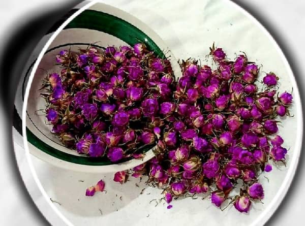 تصویر 1 از قیمت غنچه گل محمدی اعلا با کیفیت ارزان + خرید عمده