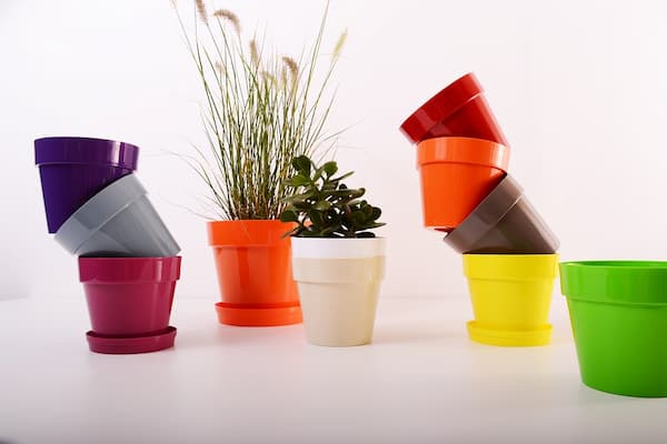 تصویر 3 از خرید و قیمت گلدان پلاستیکی کوچک + فروش عمده
