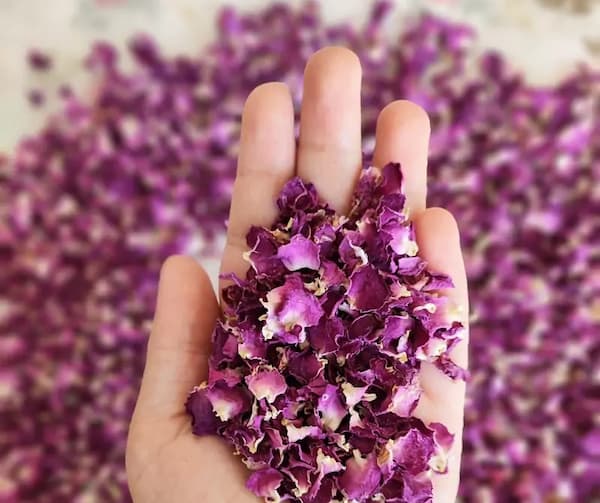 تصویر 2 از قیمت خرید پر گل محمدی اعلا با فروش عمده