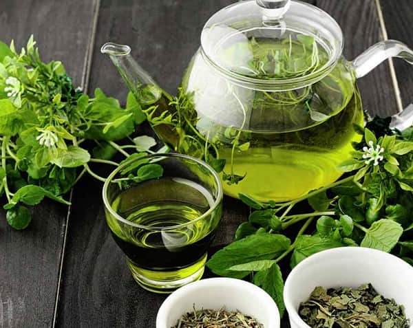 خرید جدیدترین انواع چای سبز ایرانی
