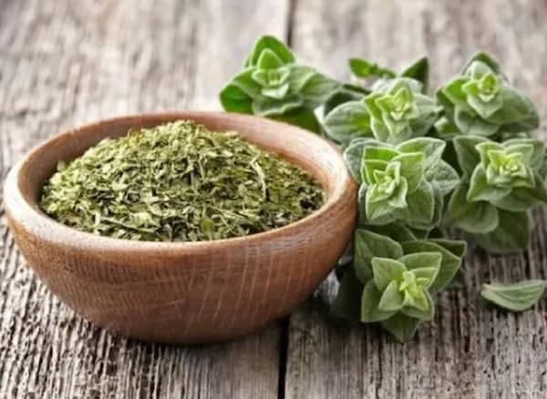 تصویر 4 از راهنمای خرید برگ آویشن خشک شده + قیمت عالی
