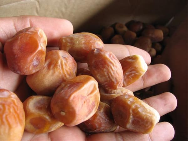 تصویر 3 از خرید خرما زاهدی درجه یک + قیمت فروش استثنایی