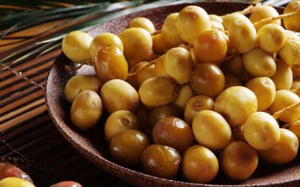 تصویر 5 از قیمت خرما برحی خوزستان با کیفیت ارزان + خرید عمده
