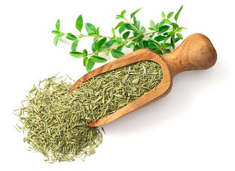 تصویر 4 از خرید و قیمت آویشن کوهی خشک شده + فروش عمده