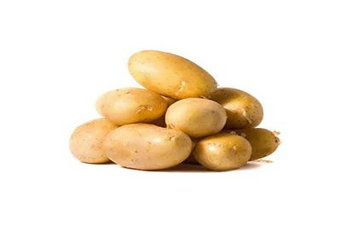 تصویر 1 از خرید سیب زمینی بامبا + قیمت عالی باکیفیت