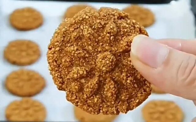 تصویر 5 از قیمت خرید بیسکویت رژیمی فله + فروش ویژه