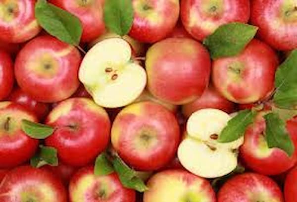تصویر 3 از خرید سیب سرخ مراغه + قیمت فروش استثنایی