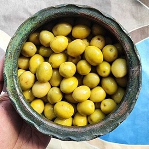 تصویر 3 از خرید و قیمت زیتون طارم زنجان + فروش عمده