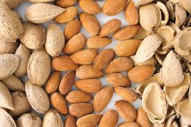 تصویر 1 از قیمت عالی + فروش ویژه بادام درختی عمده