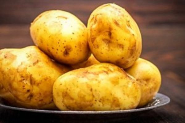 تصویر 5 از خرید سیب زمینی زرد اردبیل + قیمت فروش استثنایی