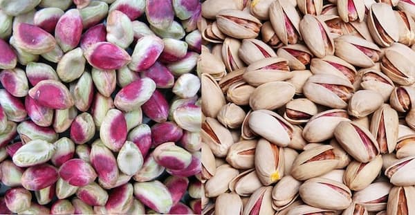 تصویر 1 از خرید پسته طلایی یزد + قیمت فروش استثنایی