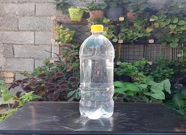 تصویر 1 از خرید عرق پنج گیاه + بهترین قیمت