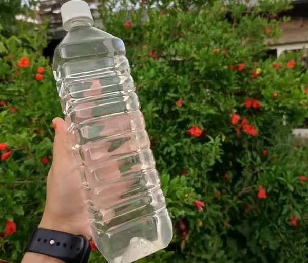 تصویر 4 از خرید عرق پنج گیاه + بهترین قیمت