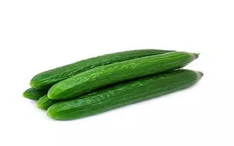 تصویر 3 از خرید و فروش خیار سبز قلمی با شرایط فوق العاده