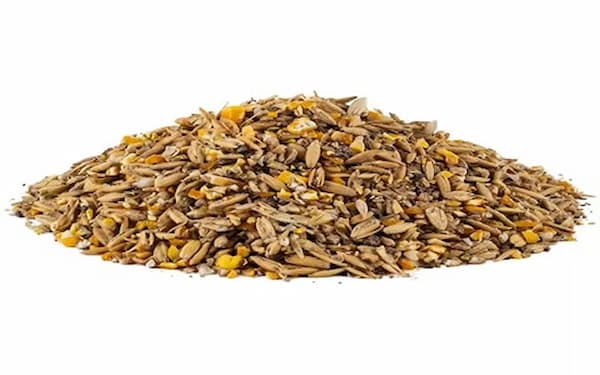 تصویر 2 از قیمت استارتر بره پرواری + خرید باور نکردنی