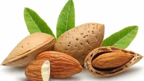 بادام درختی ارگانیک با مغز کامل