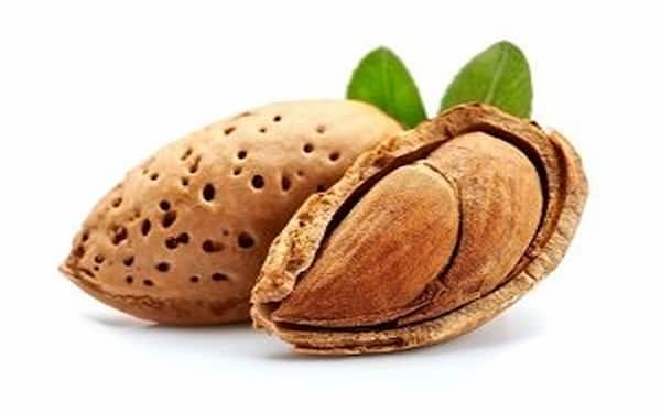 خرید و فروش مغز بادام دوقلو با شرایط فوق العاده