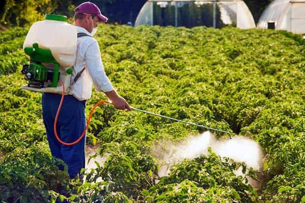 تصویر 4 از خرید کود میکرو معدنی + قیمت فروش استثنایی