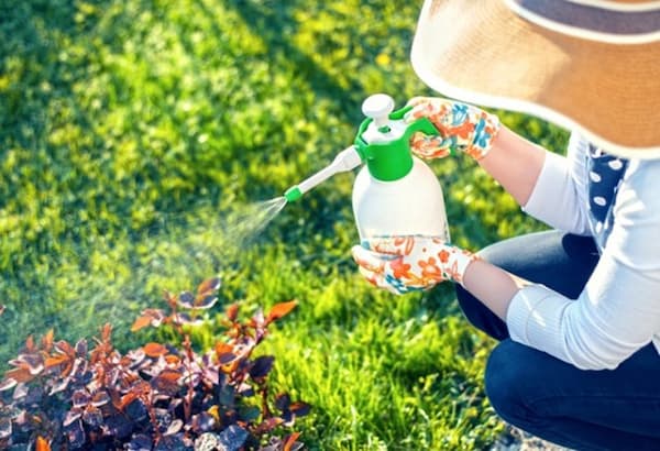 تصویر 5 از خرید کود میکرو معدنی + قیمت فروش استثنایی