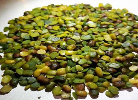 تصویر 4 از خرید مغز پسته کوهی + قیمت فروش استثنایی