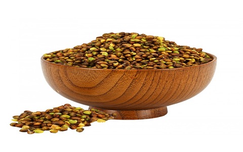 تصویر 2 از خرید مغز پسته کوهی + قیمت فروش استثنایی