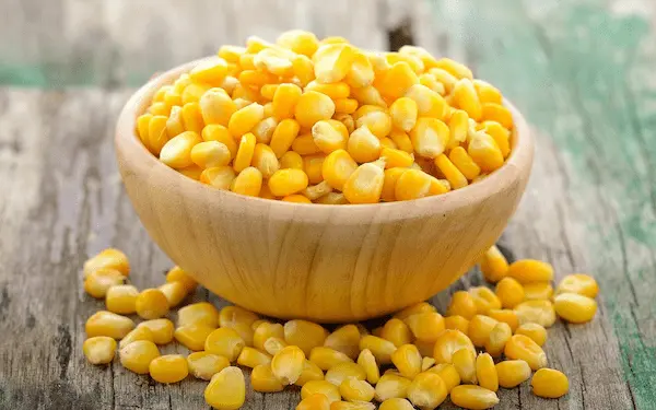 تصویر 3 از قیمت خرید کنسرو ذرت مخلوط + فروش ویژه