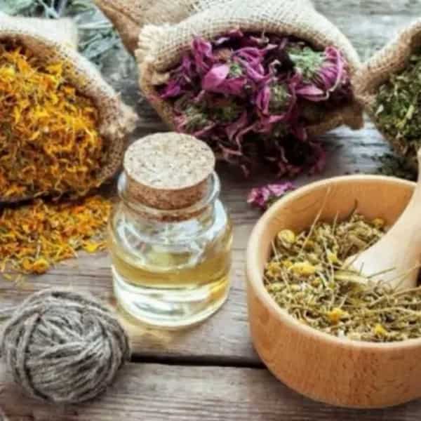 تصویر 4 از قیمت خرید چهل گیاه 500 گرمی + فروش ویژه