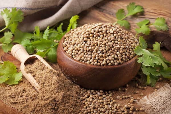 تصویر 1 از قیمت خرید تخم گشنیز پاک شده با فروش عمده