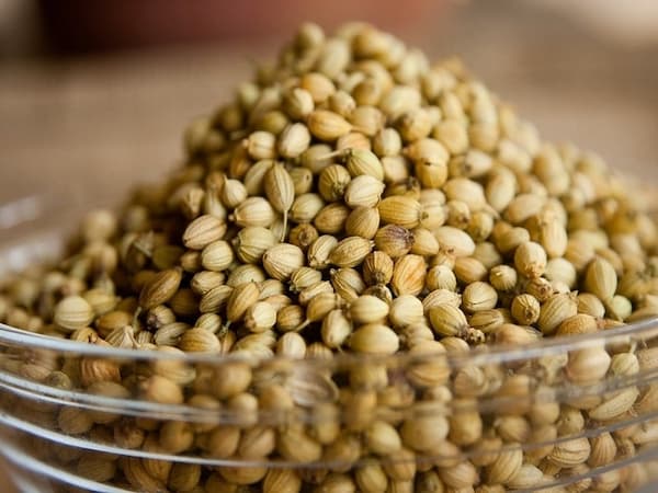 تصویر 5 از قیمت خرید تخم گشنیز پاک شده با فروش عمده