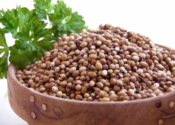 تصویر 3 از قیمت خرید تخم گشنیز پاک شده با فروش عمده