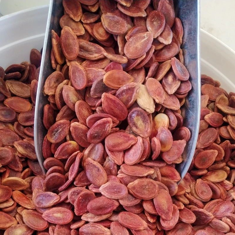 تصویر 5 از خرید تخمه هندوانه قرمز + قیمت فروش استثنایی
