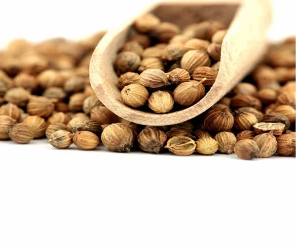 تصویر 1 از فروش تخم گشنیز توپی + قیمت خرید به صرفه